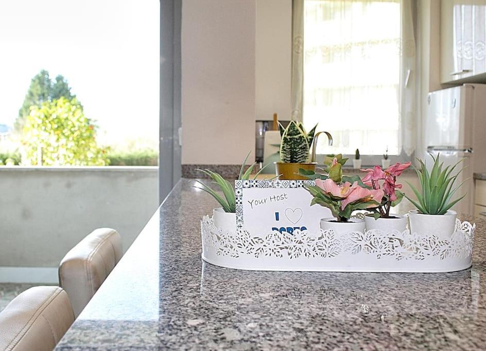 Arrabida Luxury Studio Vila Nova de Gaia Exterior photo
